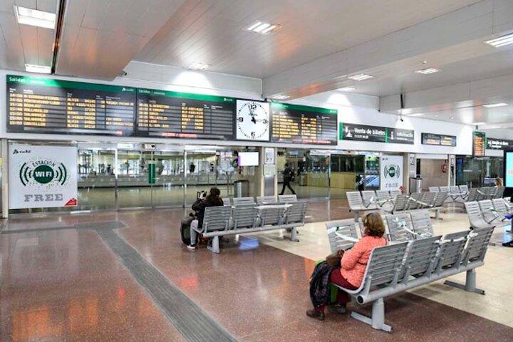 Private Transfer From Chamartín Station in Madrid to Madrid - photo 3