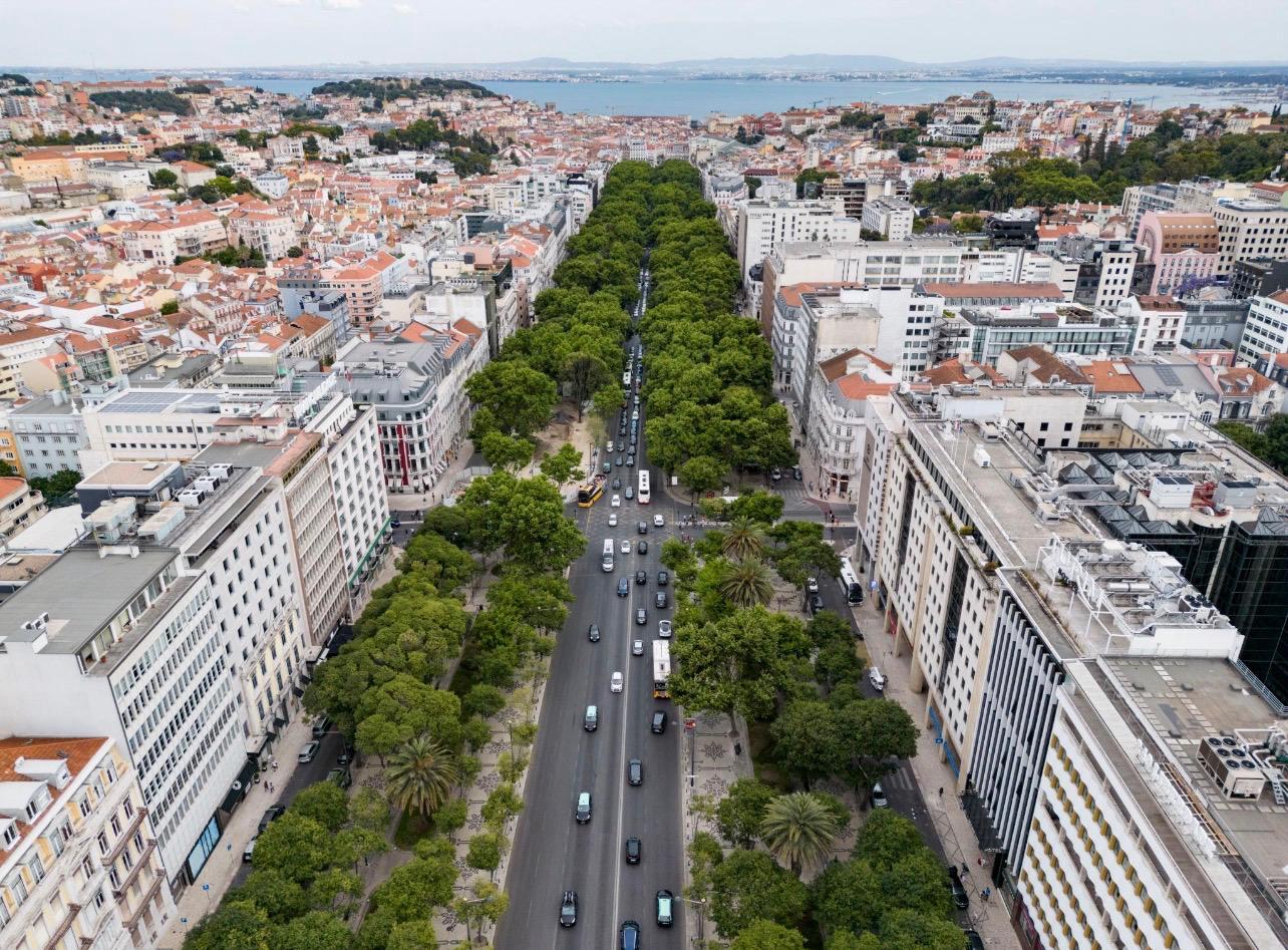 Lisbon Full-Day Private Tour: Top Sights, Viewpoints & Historic Districts - photo 5