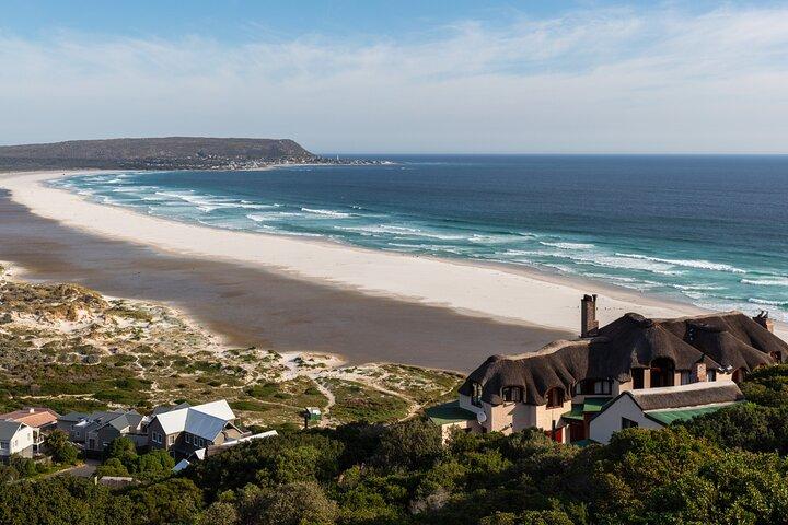 Cape Peninsula Tour  - photo 5