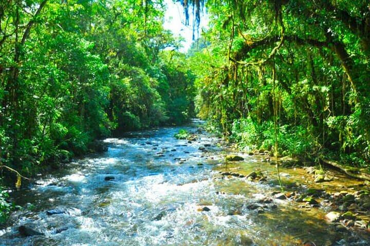 6-Day São Paulo Tour: From City, Waterfalls and Caves - (Petar)  - photo 5