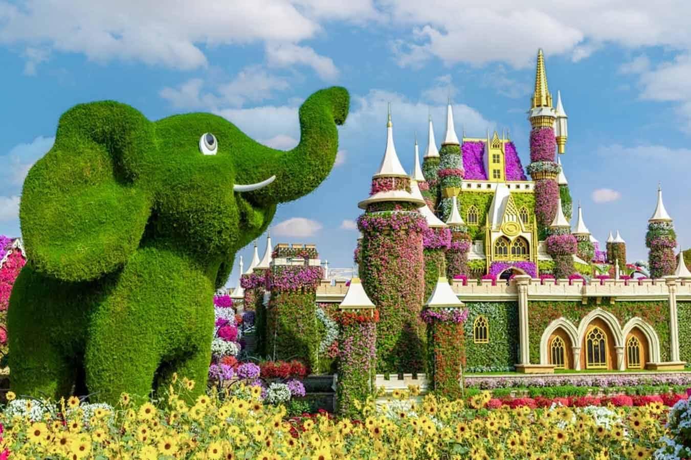Dubai  Miracle Garden tour & Marina Dhow Cruise with Dinner with  Private  Roundtrip   Transfer - photo 5