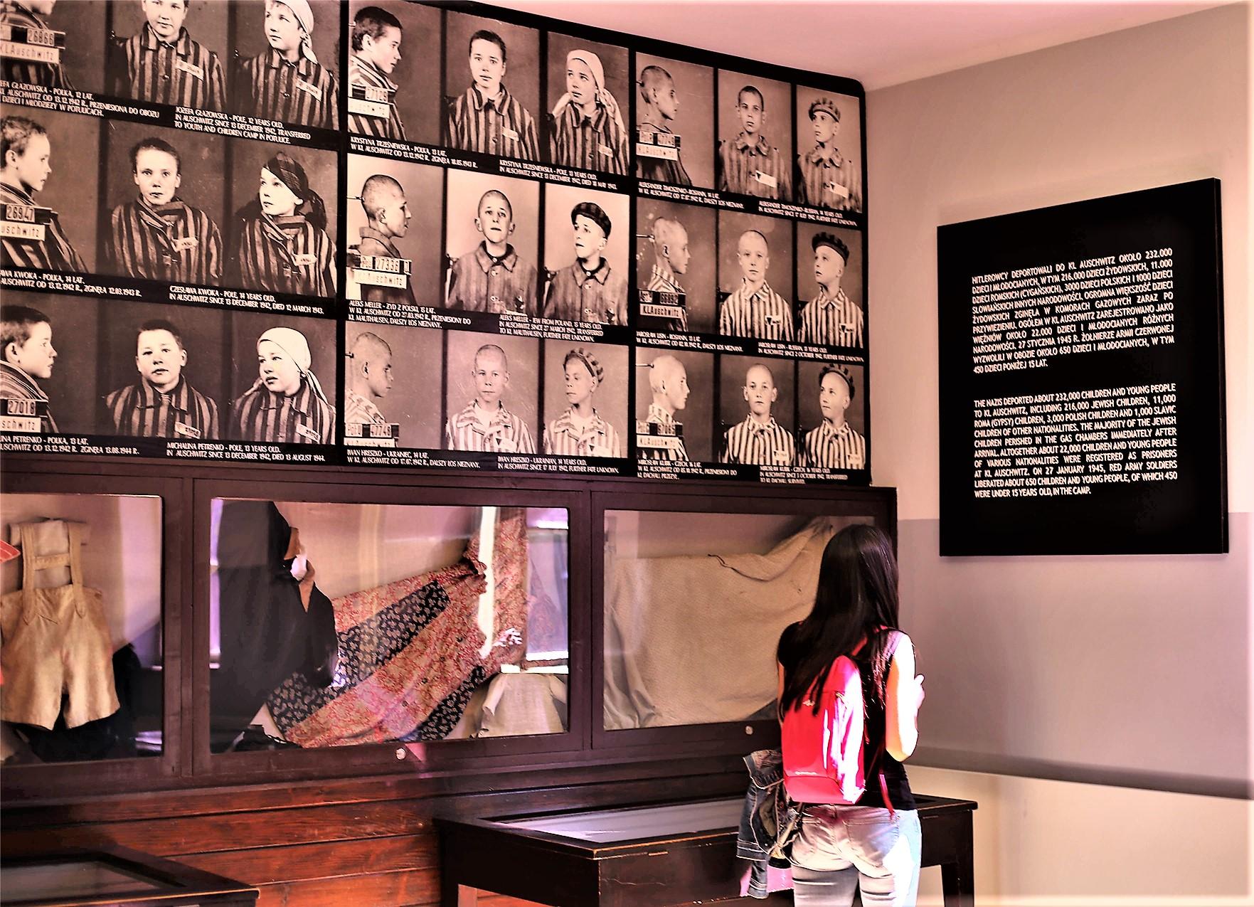 Auschwitz-Birkenau Museum: Private transport from Krakow and Back - cover photo