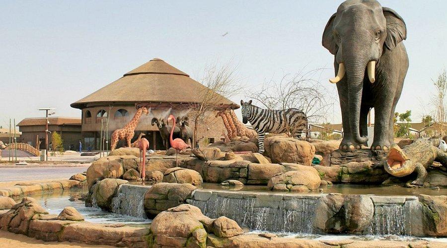 Dubai  Safari Park Tour with Private  Roundtrip  Transfers - photo 3