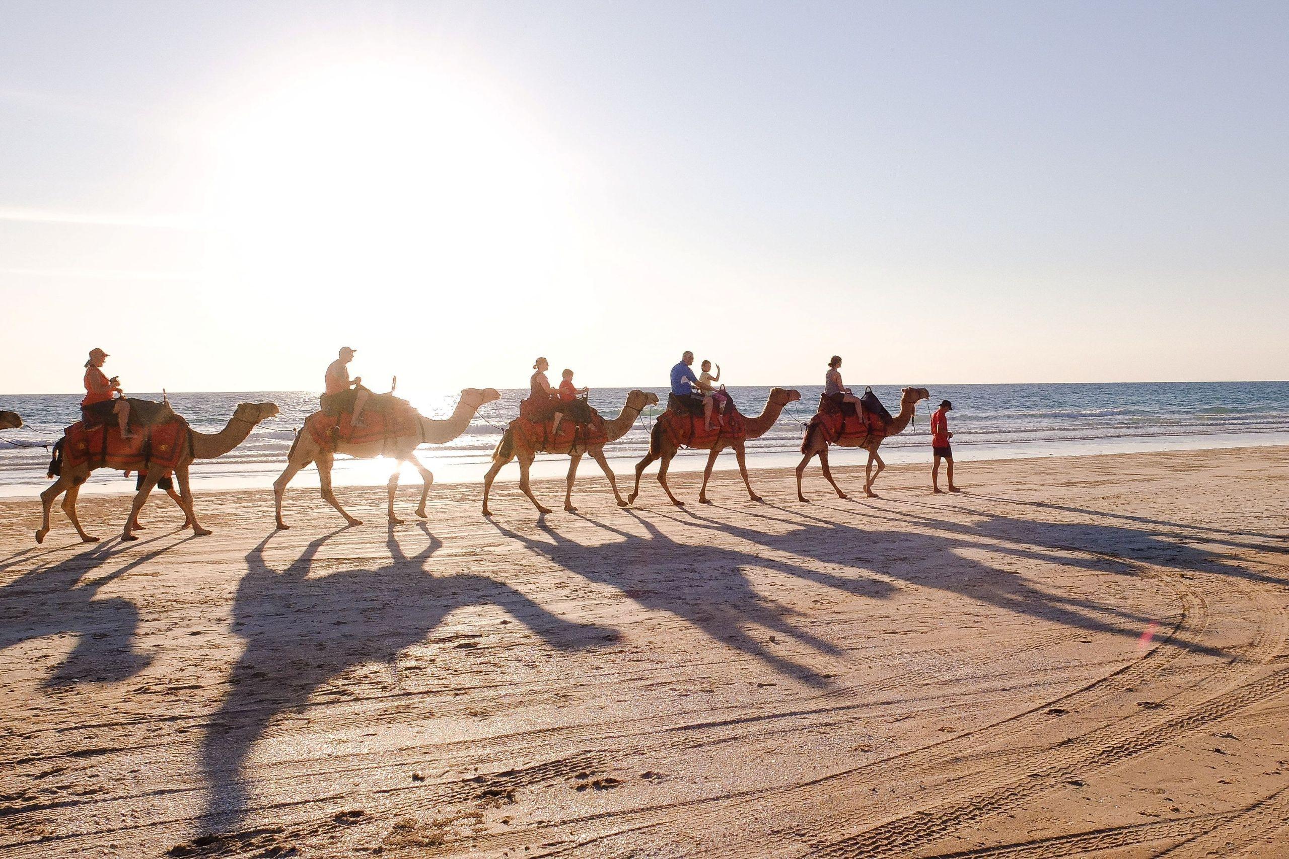 Desert Camel Riding Marsa Alam Tour for 2-Hour with Transfer - photo 5