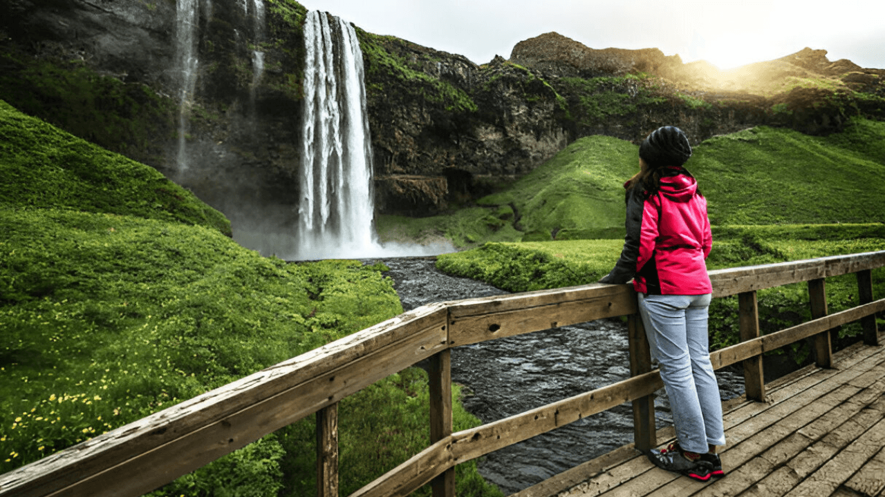 Private South Coast & Jokulsarlon Lagoon Tour in Multi-Language Guide Options - cover photo