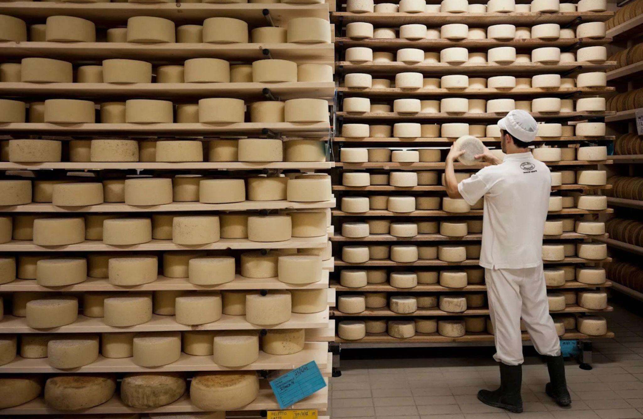 Dairy Tour with Cheese Tasting & Prosecco near Treviso - photo 5