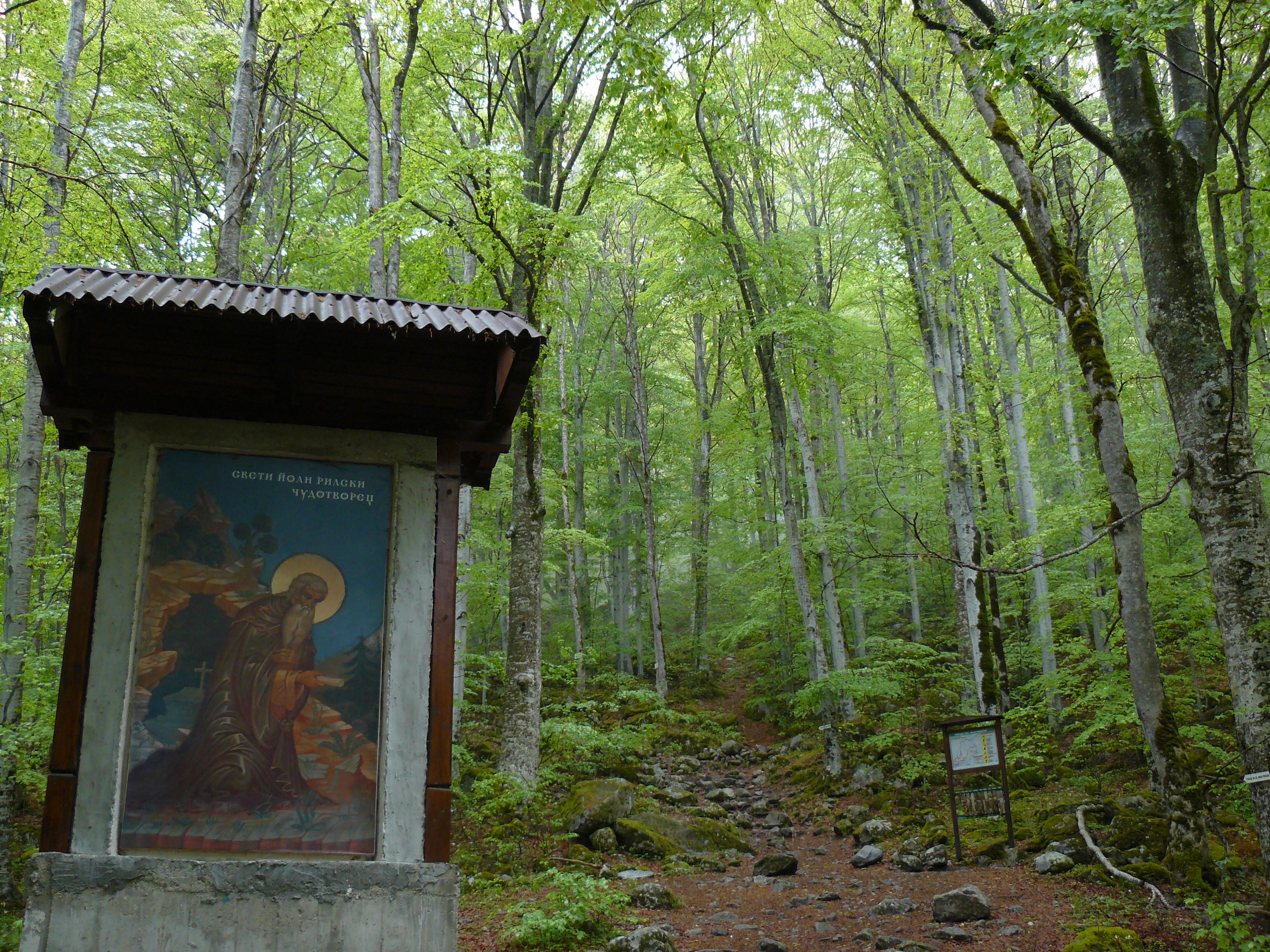 activity image