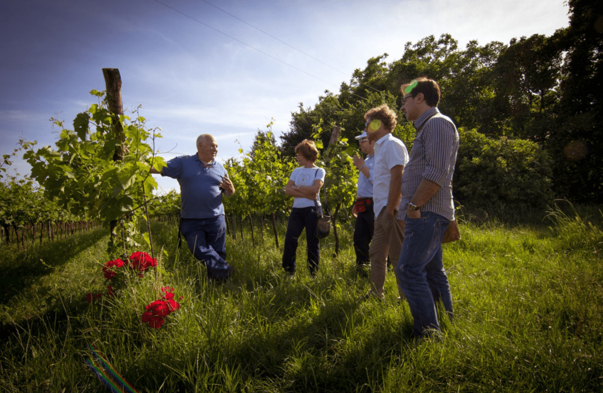 Winery Tour & Tasting on Padua Hills - cover photo