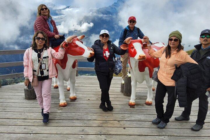 Zurich Day Trip Jungfrau Region with Scenic Train and Hidden Gems - cover photo