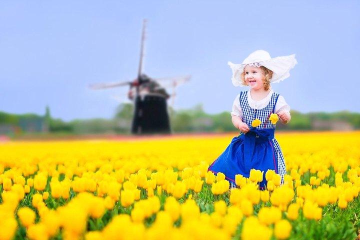 Delft and Keukenhof Gardens Tour - from Brussels  - cover photo
