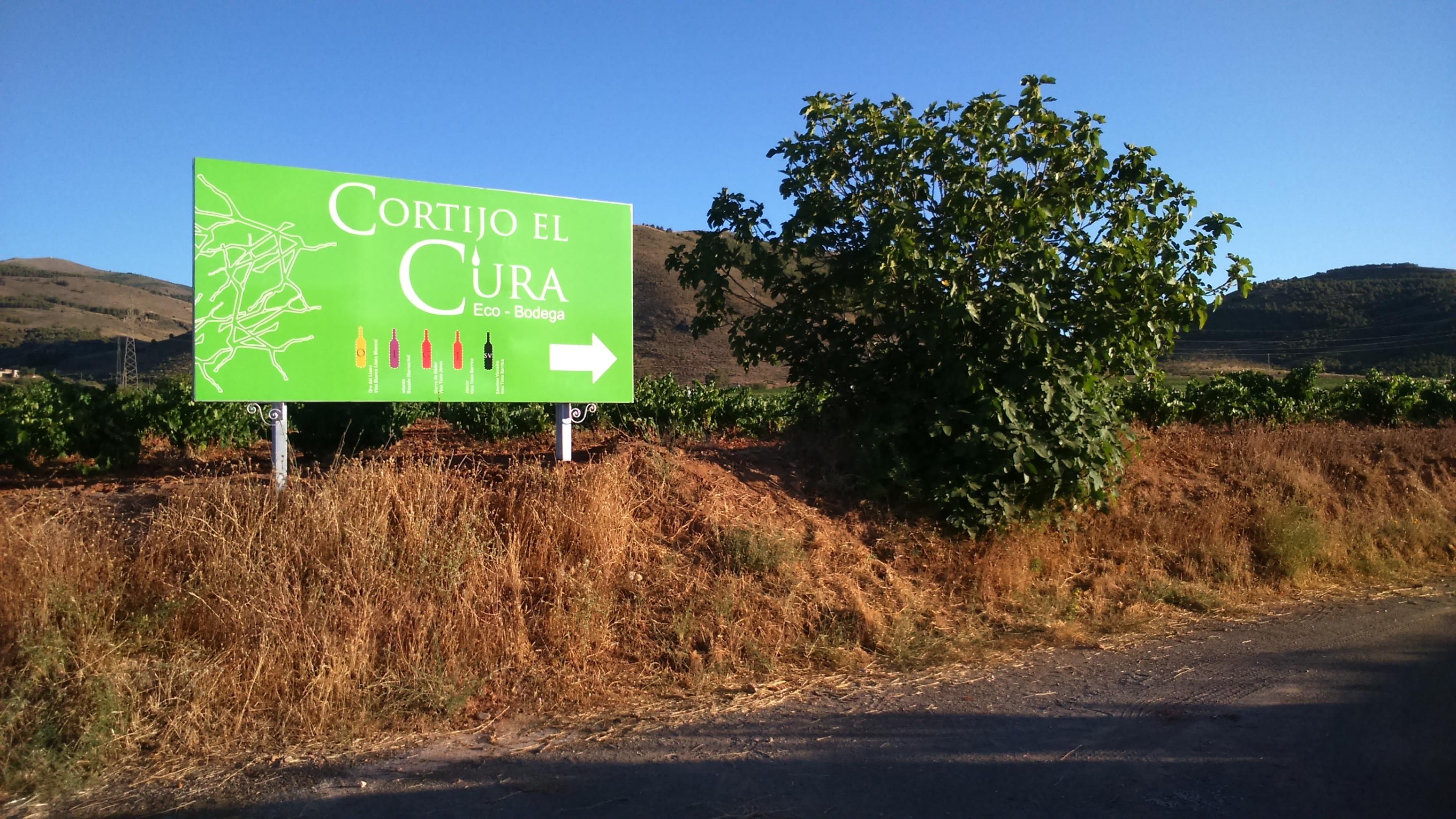 Visit to the Organic Winery in La Alpujarra with Wine Tasting and Local Aperitif - photo 2