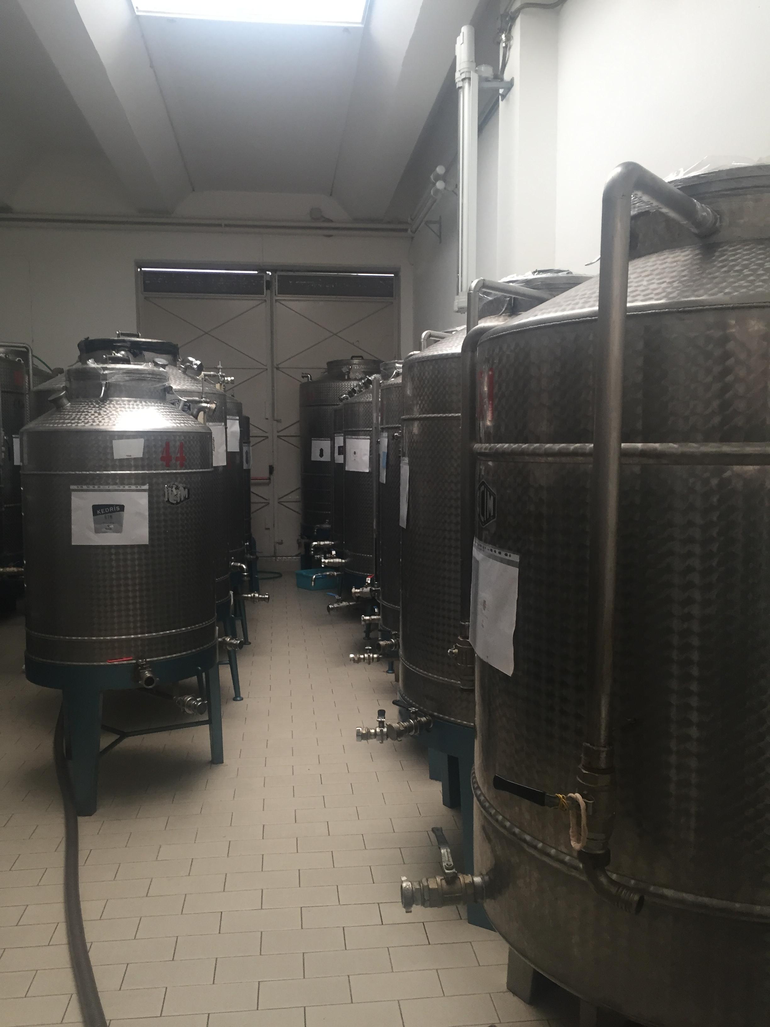 Visita guidata e degustazione in distilleria Toro - photo 3