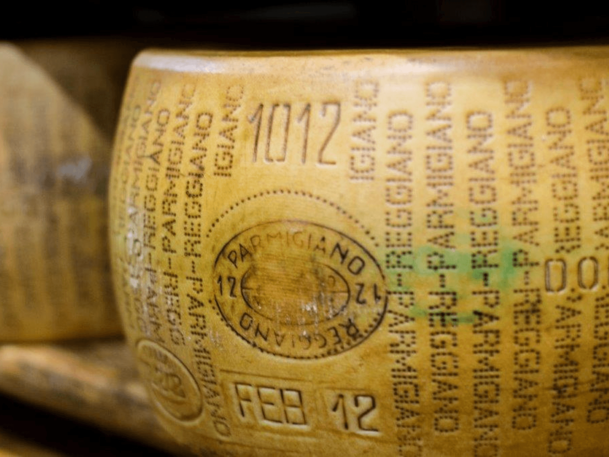 Parmesan Cheese Tour & Tasting in Modena - cover photo