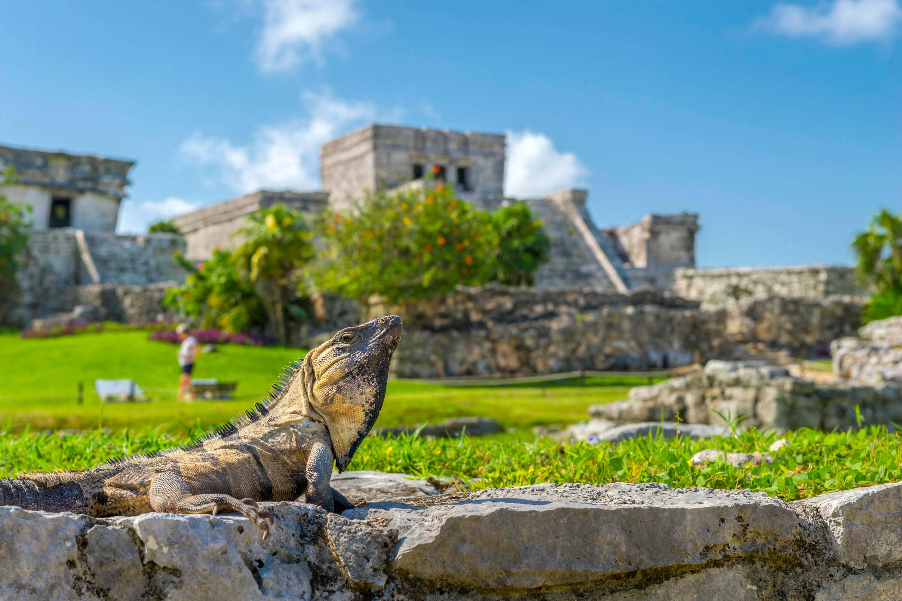 Tulum Ruins: Walking Tour with Audio Guide - photo 2