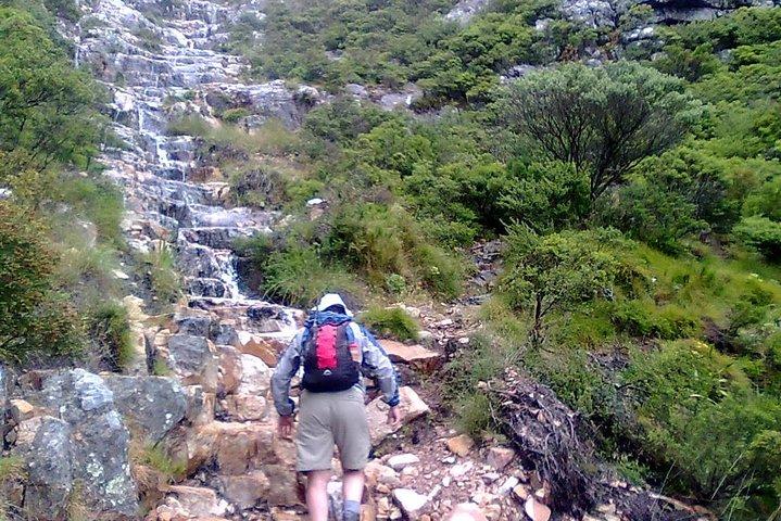 Hiking and Trekking on Table Mountain - cover photo