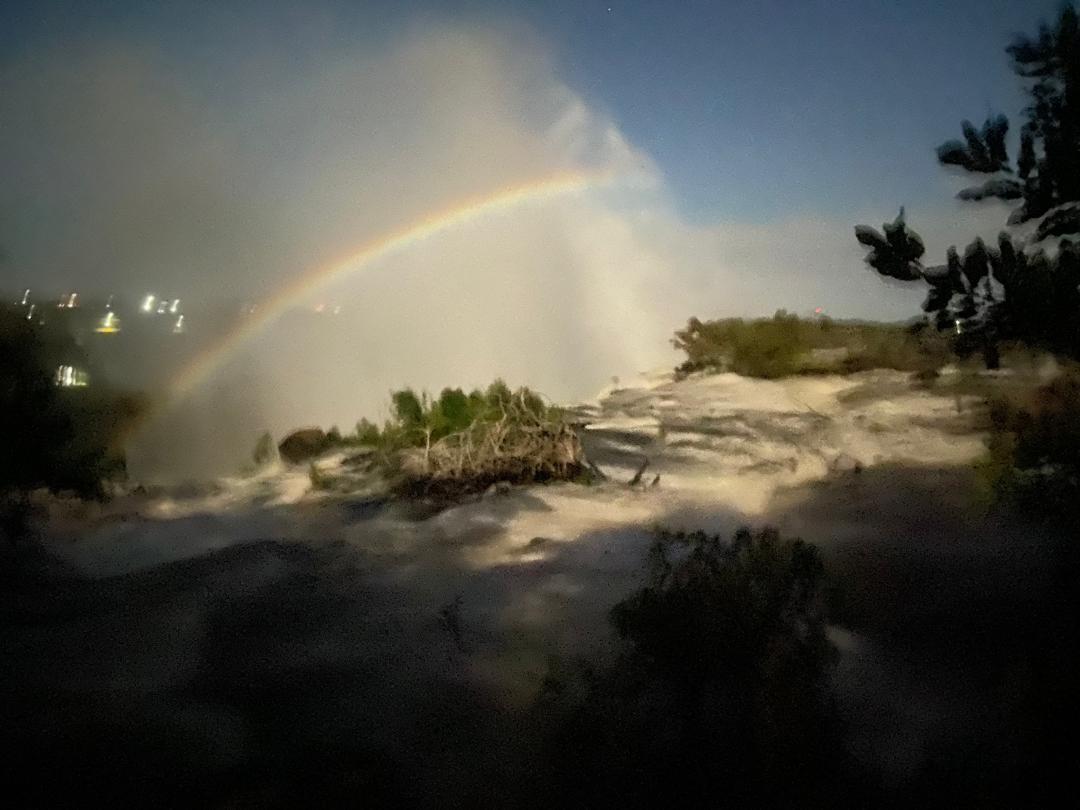 Chobe Full Day Safari & Zambia Zimbabwe Falls Tour Combo  - cover photo