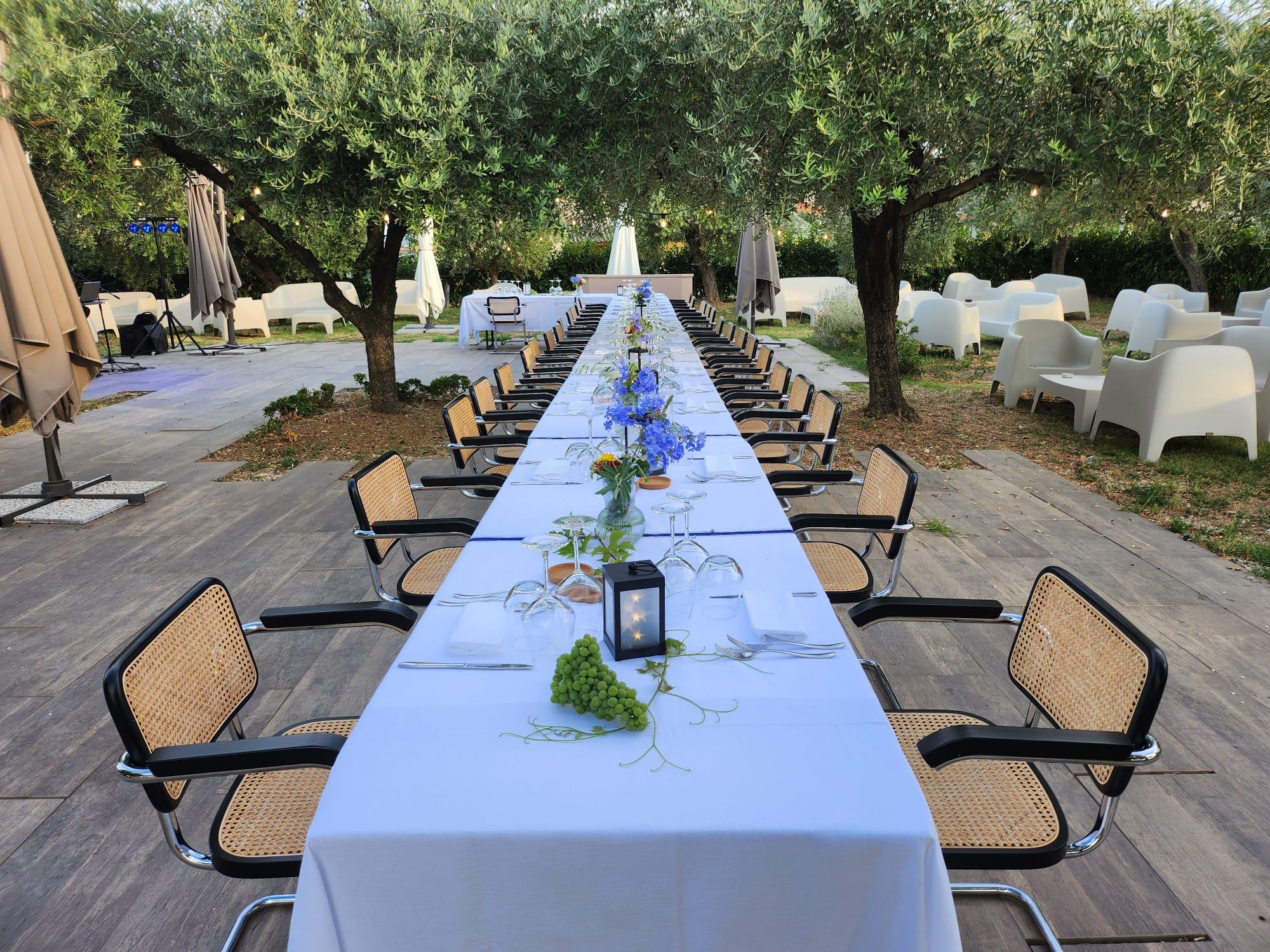 Wine Tour Between History and Tasting at Feudo Antico Winery - photo 2