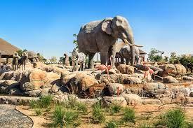 Dubai  Safari Park Tour with Private  Roundtrip  Transfers - photo 2