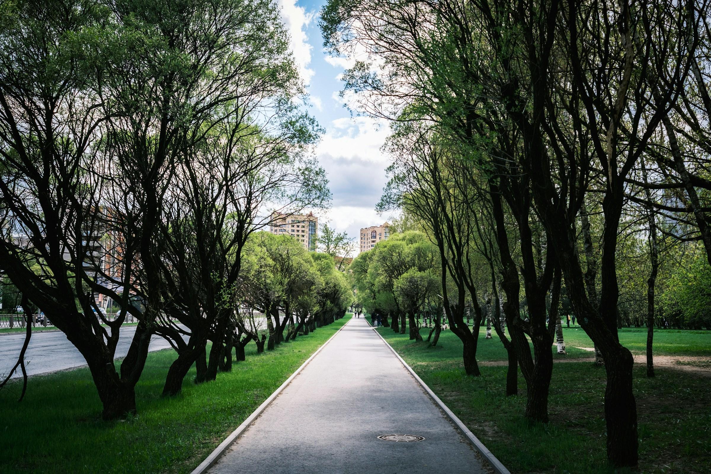 Central Park Self-Guided Audio Walk: Bethesda Terrace, Bow Bridge, Belvedere Castle and Seneca Village - photo 4