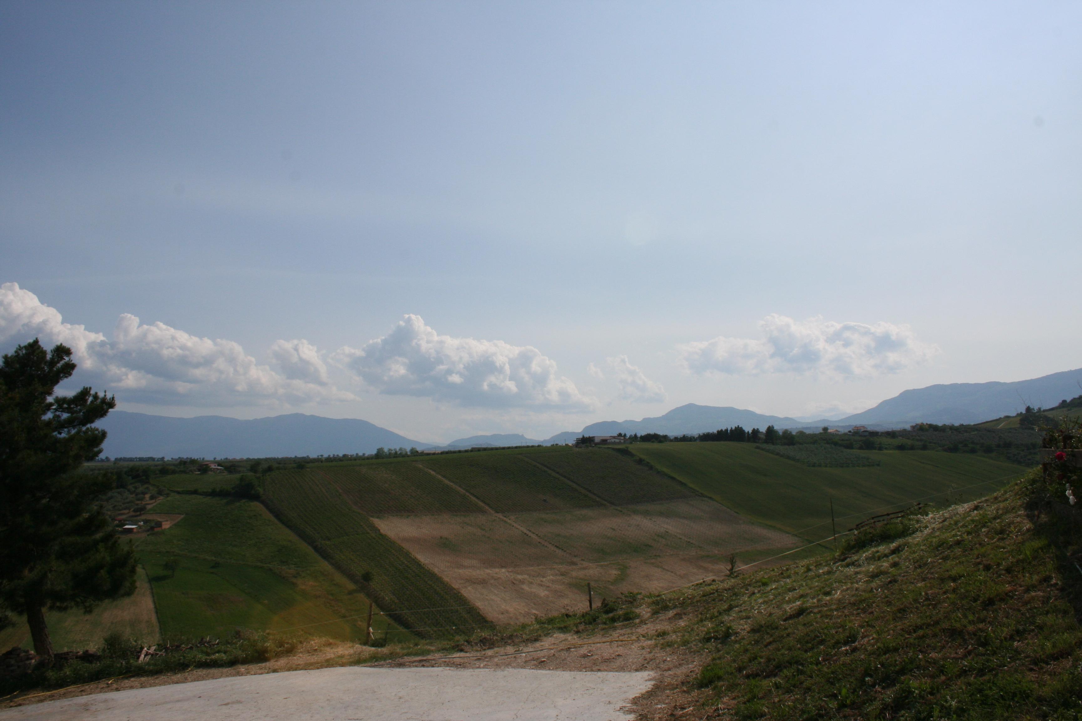 White gold from milk - visit to a typical Santa Caterina cheese dairy - photo 5