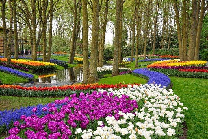 Delft and Keukenhof Gardens Tour - from Brussels  - photo 5