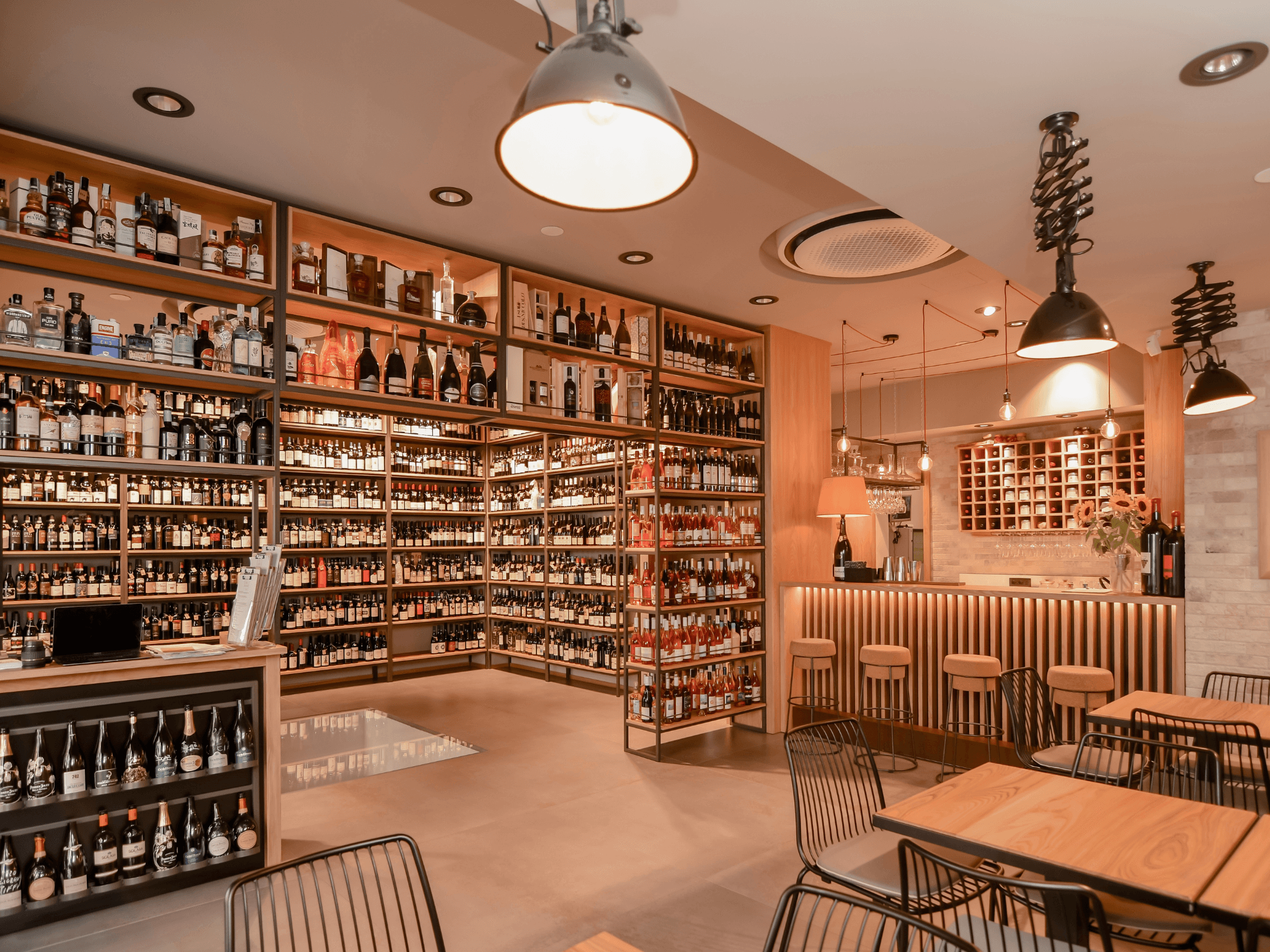 Wine Tasting with Food Pairings in Bari City Center - photo 4