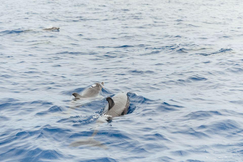 activity image