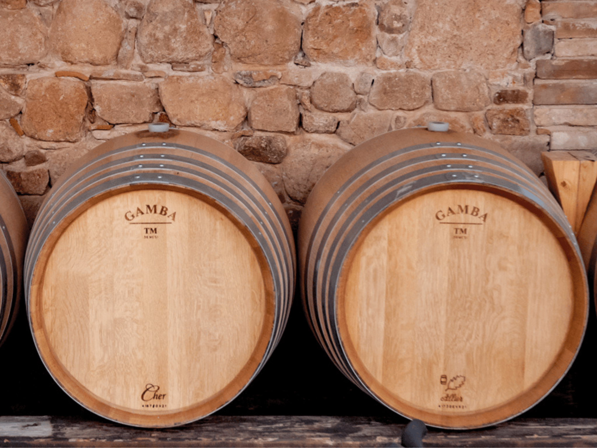 Wine Tasting & Winery Visit on Cagliari Countryside Hills - photo 4