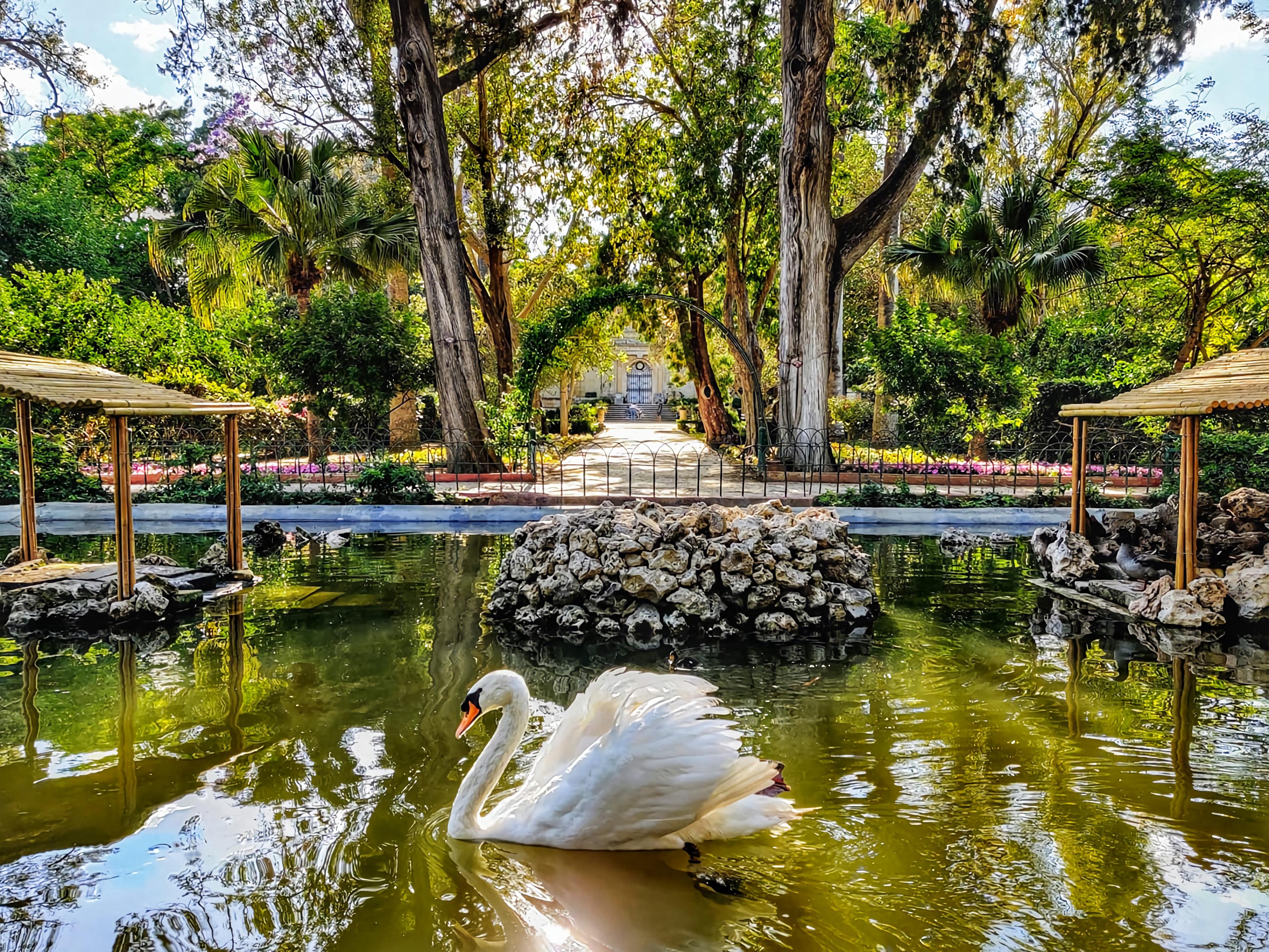 Mdina, Dingli Cliffs & San Anton Botanical Gardens (Half Day) - photo 3