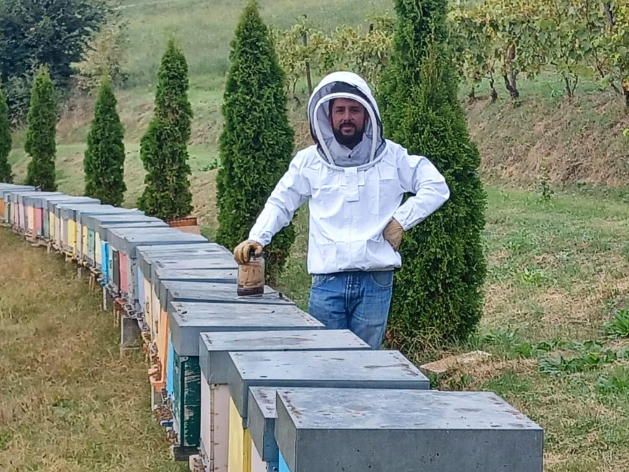 Beekeeping Tour and Honey Tasting Experience in Monferrato - cover photo