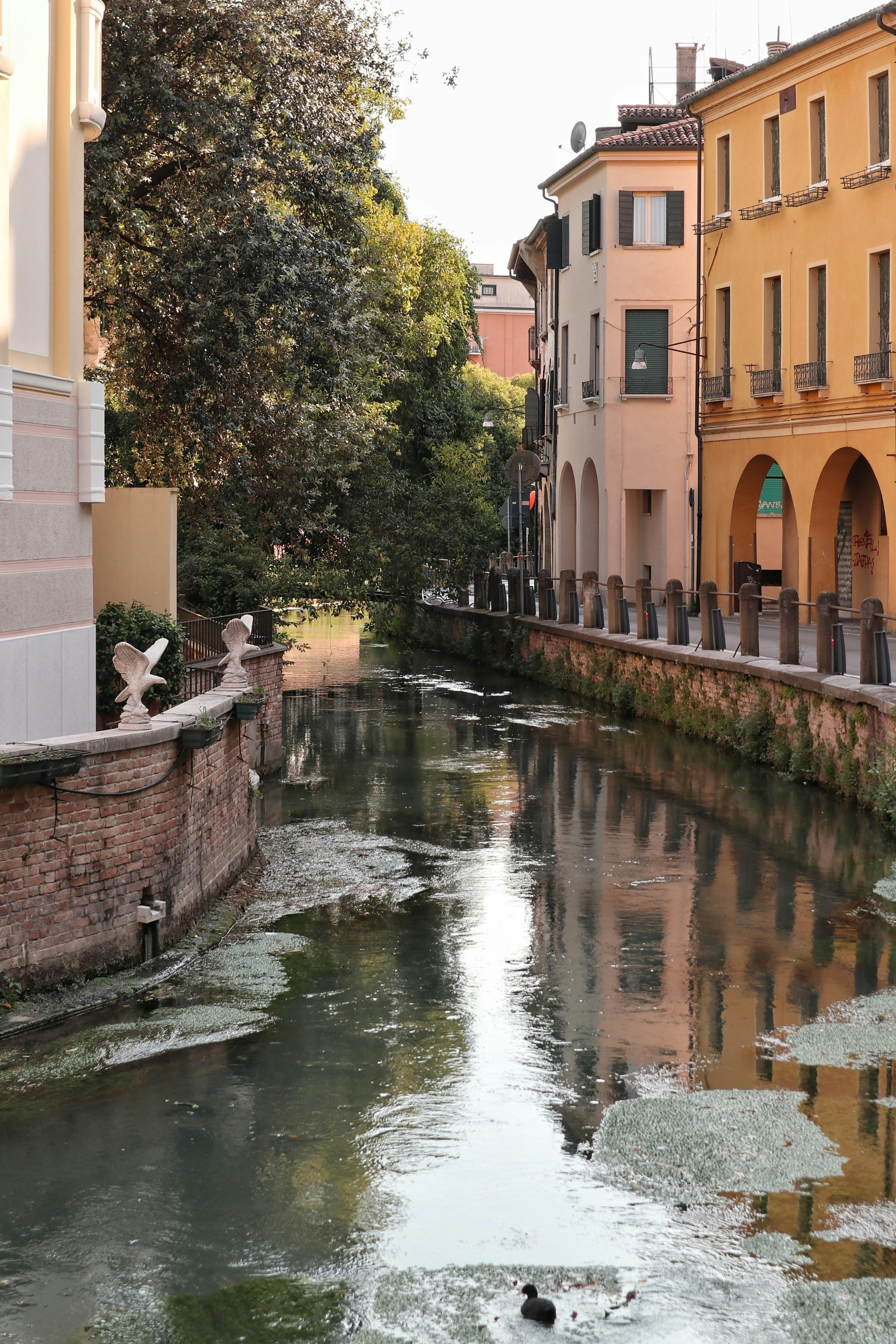 Tour to Treviso  - photo 4