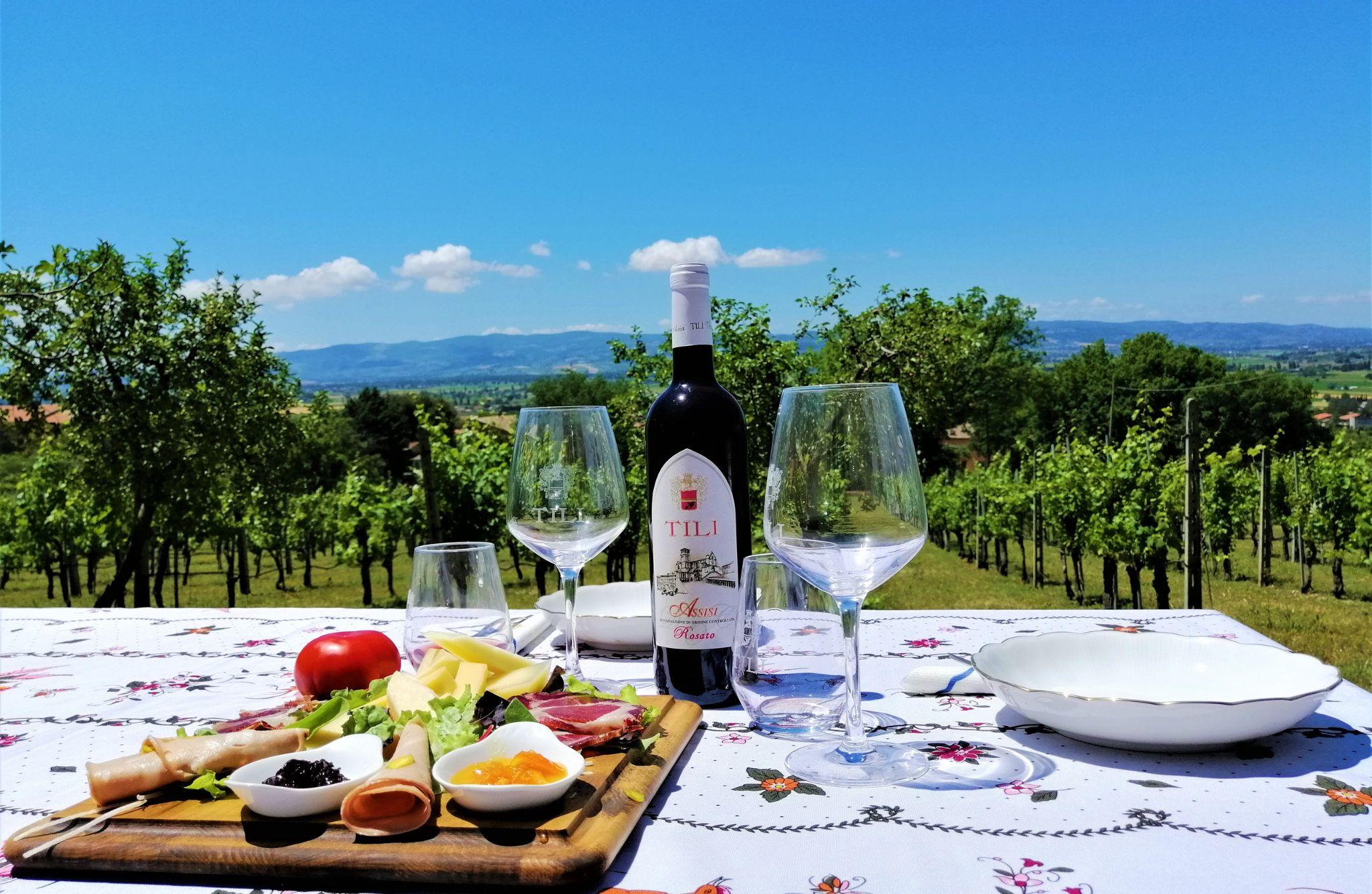 Organic Wine Tasting, Local Food & Vineyard Walk near Assisi - photo 5