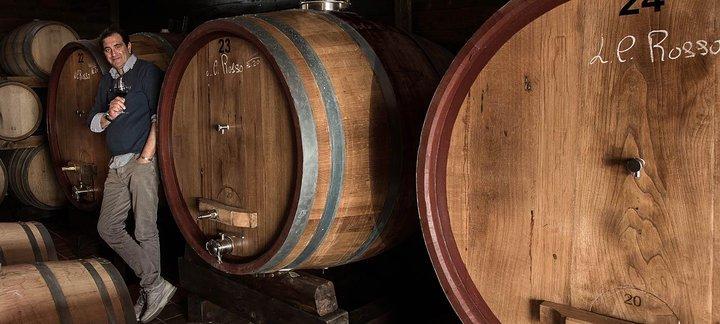 Organic Wine Tasting & Lunch Experience on Mt Vesuvius - photo 3