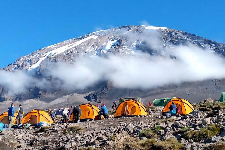 7-Day Kilimanjaro Machame Route | Most Popular Whiskey Route with High Success - photo 2