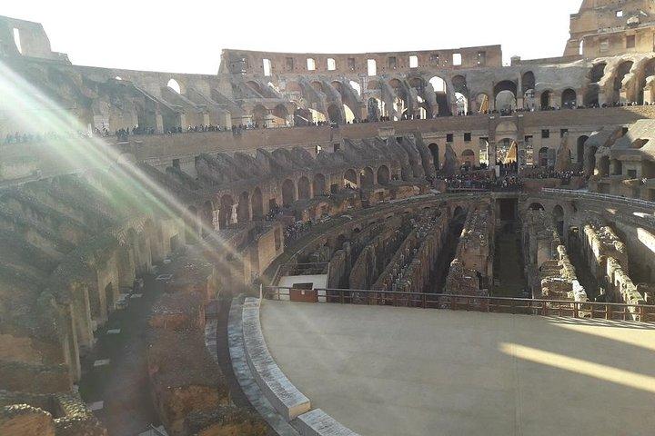 Rome Elite Chauffeured Tour from Port: Vatican, Colosseum & Lunch - photo 4
