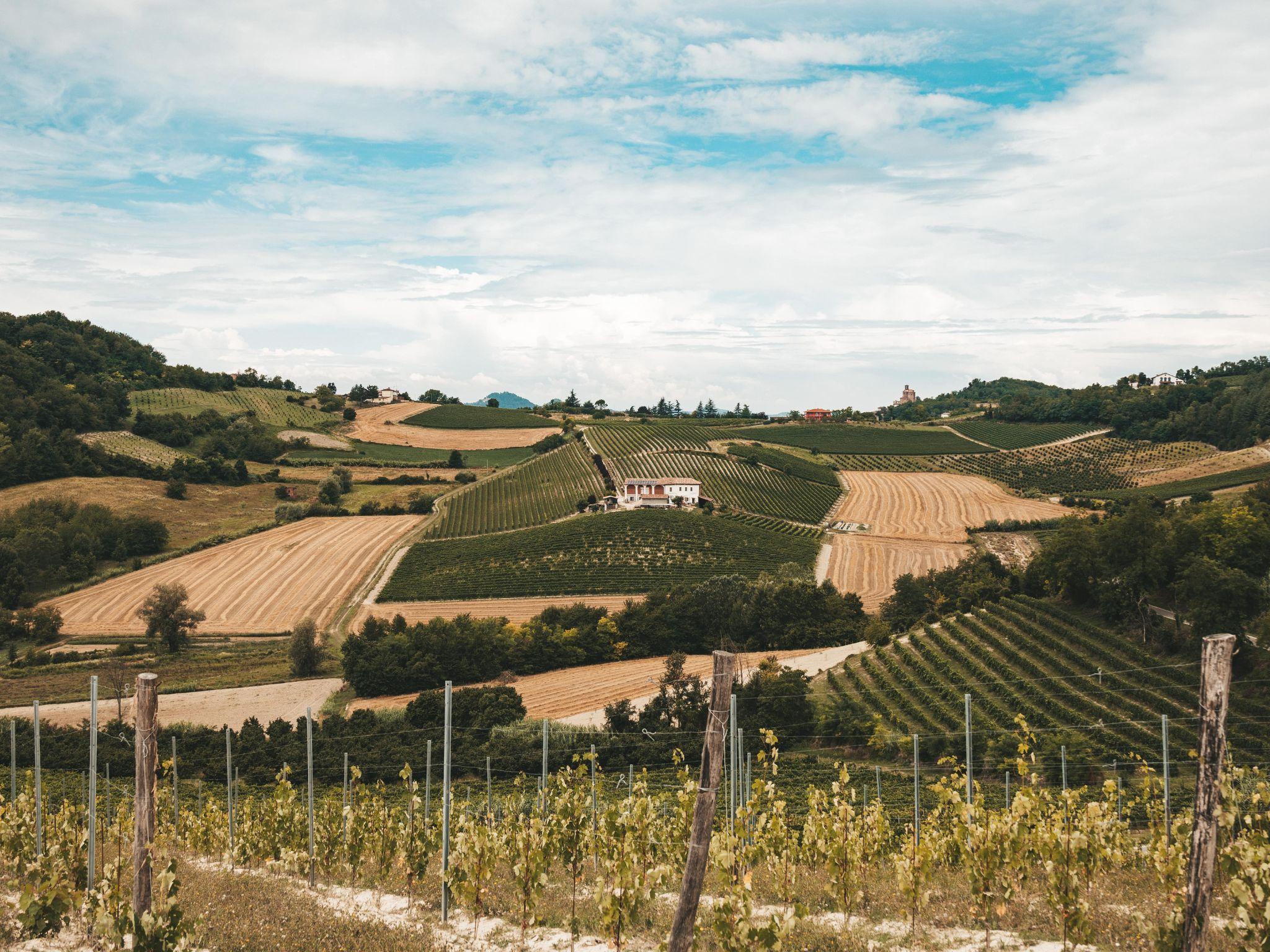 Underground Cave Visit with Food & Wine Tasting near Asti - photo 2