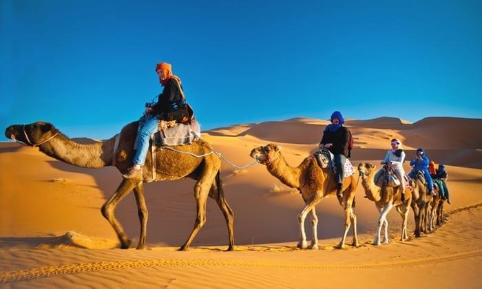 Desert Safari with 1 hour Quad Biking & BBQ dinner - photo 4