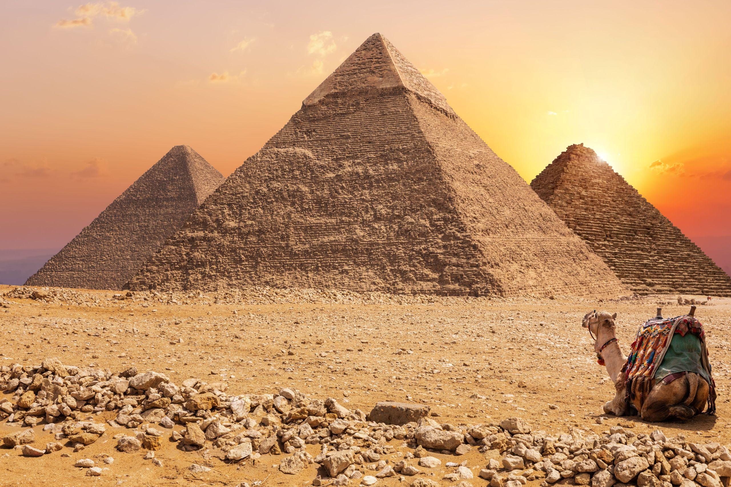 Full Guided Day Trips from Sharm el Sheikh to Cairo by Bus - photo 2