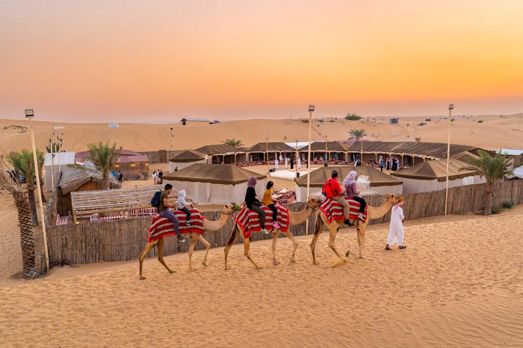 Dubai  Overnight Heritage Desert Safari in a Camel - cover photo