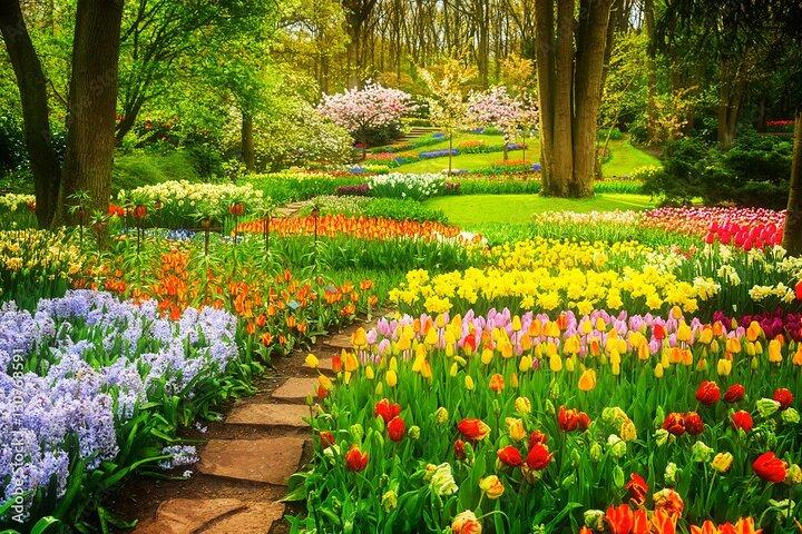 Delft and Keukenhof Gardens Tour - from Brussels  - photo 3