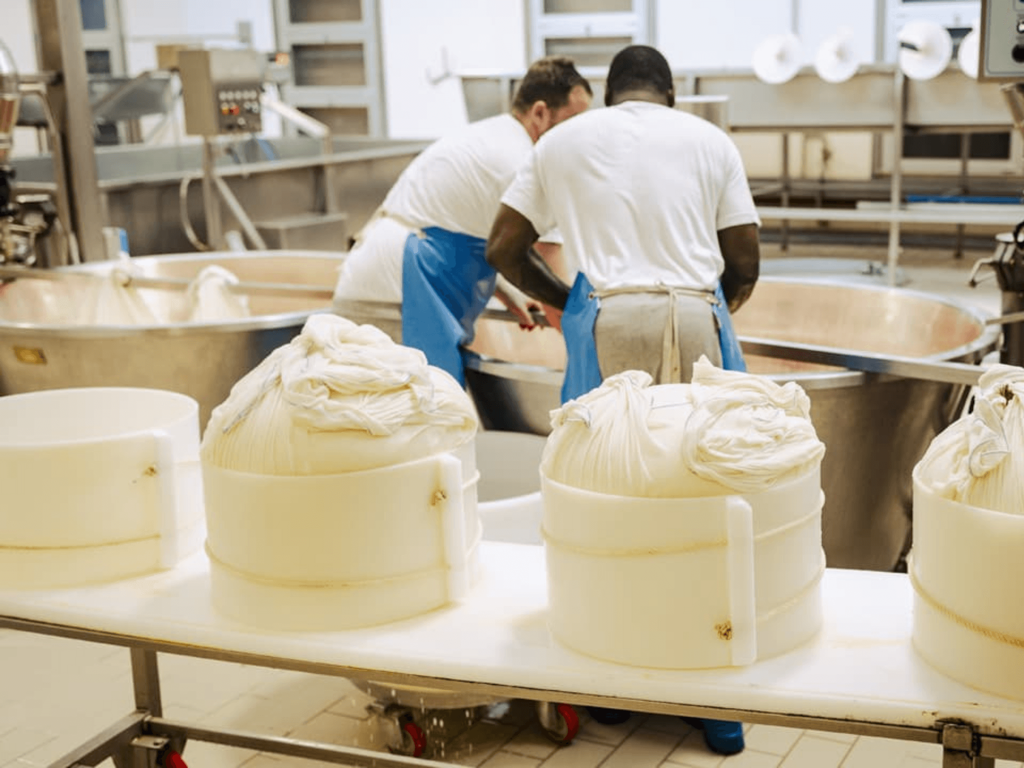 Parmesan Cheese Factory Tour & Tasting near Parma - photo 4