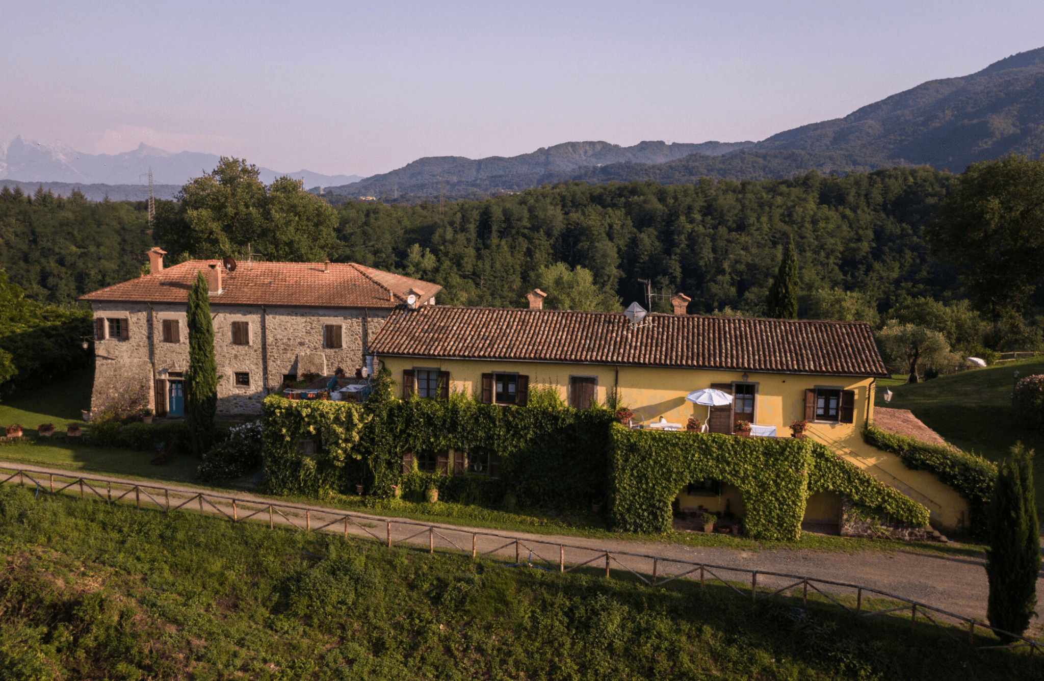 Luxury Winery Tour & Tasting in North Tuscany - photo 3