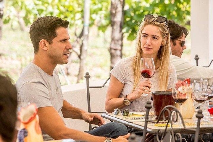 Organic Wine Tasting & Lunch on Vesuvius with Transfer from Sorrento Peninsula - photo 4