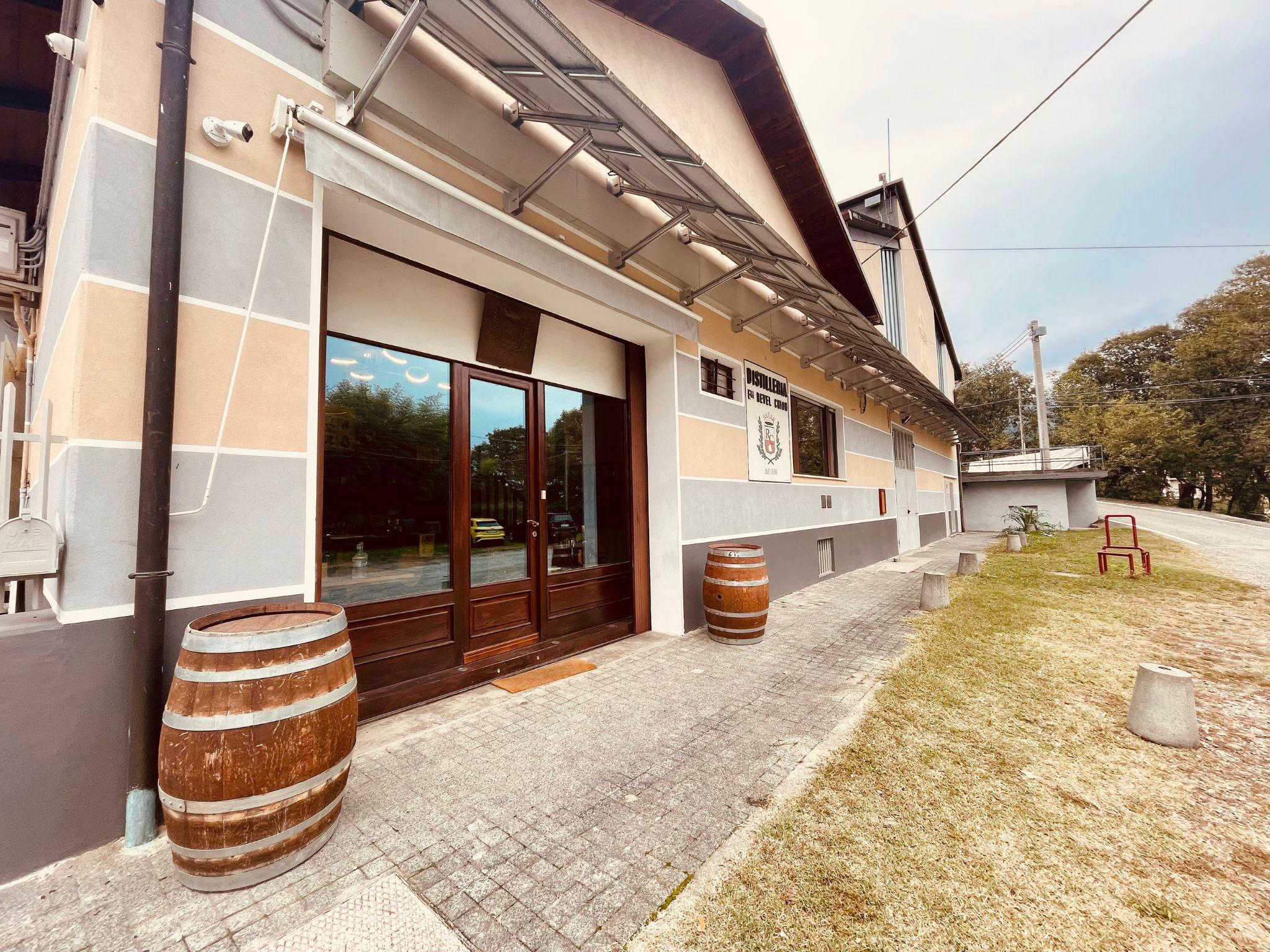 Vermouth and Spirits Tasting in a Distillery near Turin - photo 3