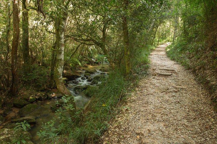 activity image