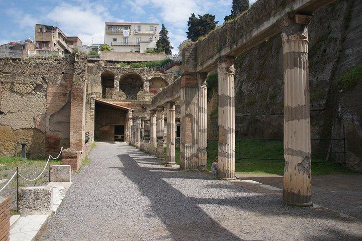 HERCULANEUM tour from Naples - cover photo