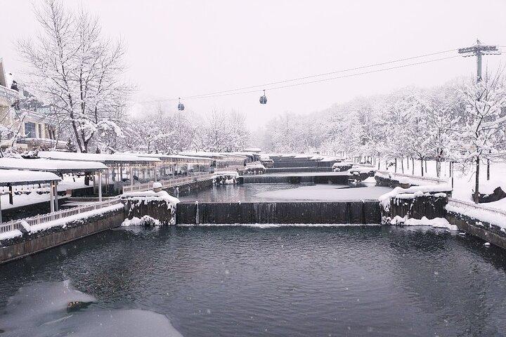 Private Full Day Shamakhi Heritage and Gabala Nature Tour - photo 3