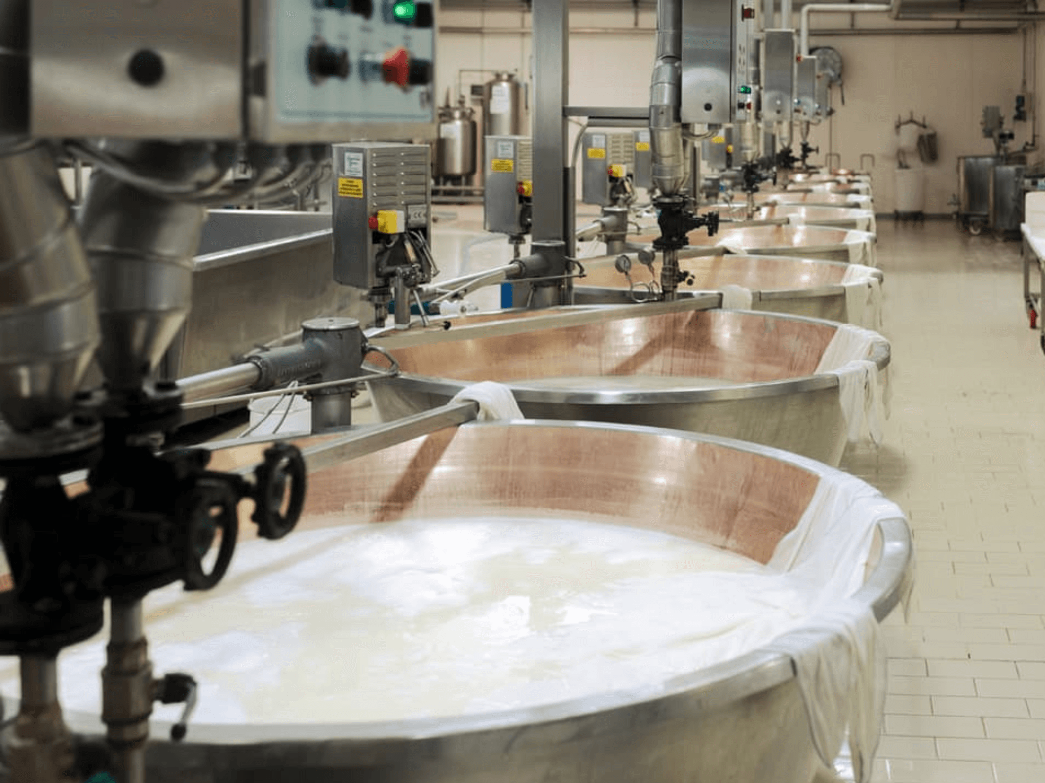 Parmesan Cheese Factory Tour & Tasting near Parma - photo 5