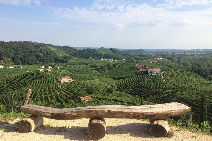 Wine tour & tasting - Prosecco Experience - cover photo