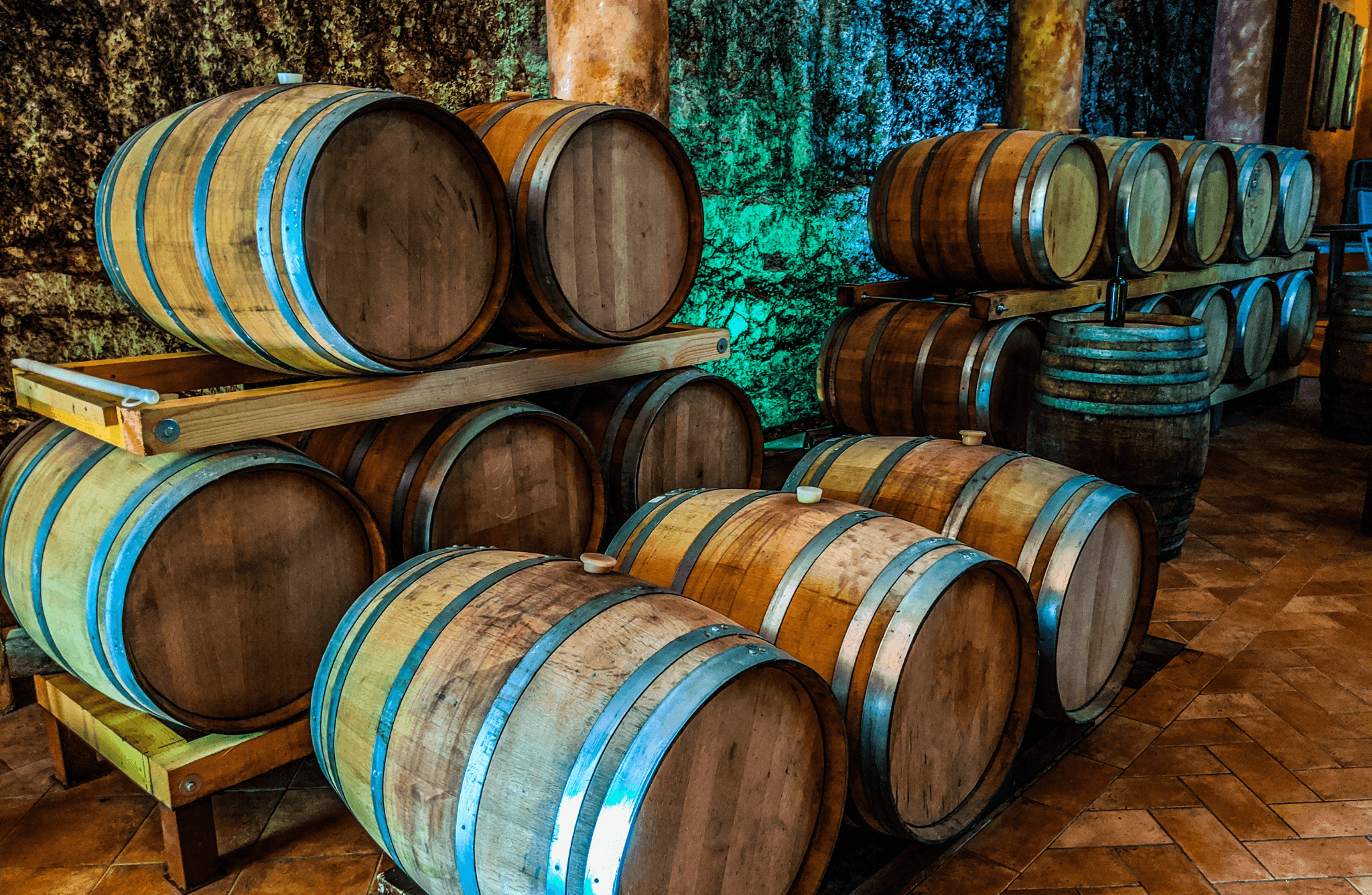 Vineyard Walk & Wine Tasting in the Berici Hills of Vicenza - photo 3